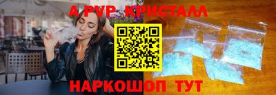 СК Кингисепп