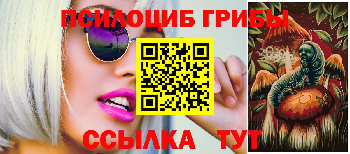 даркнет сайт  Галлюциногенные грибы MAGIC MUSHROOMS  Вход с VPN  Псилоцибиновые грибы Magic Shrooms  Киселёвск 